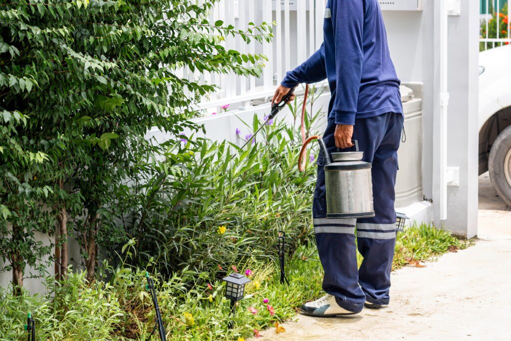 pest control in fall