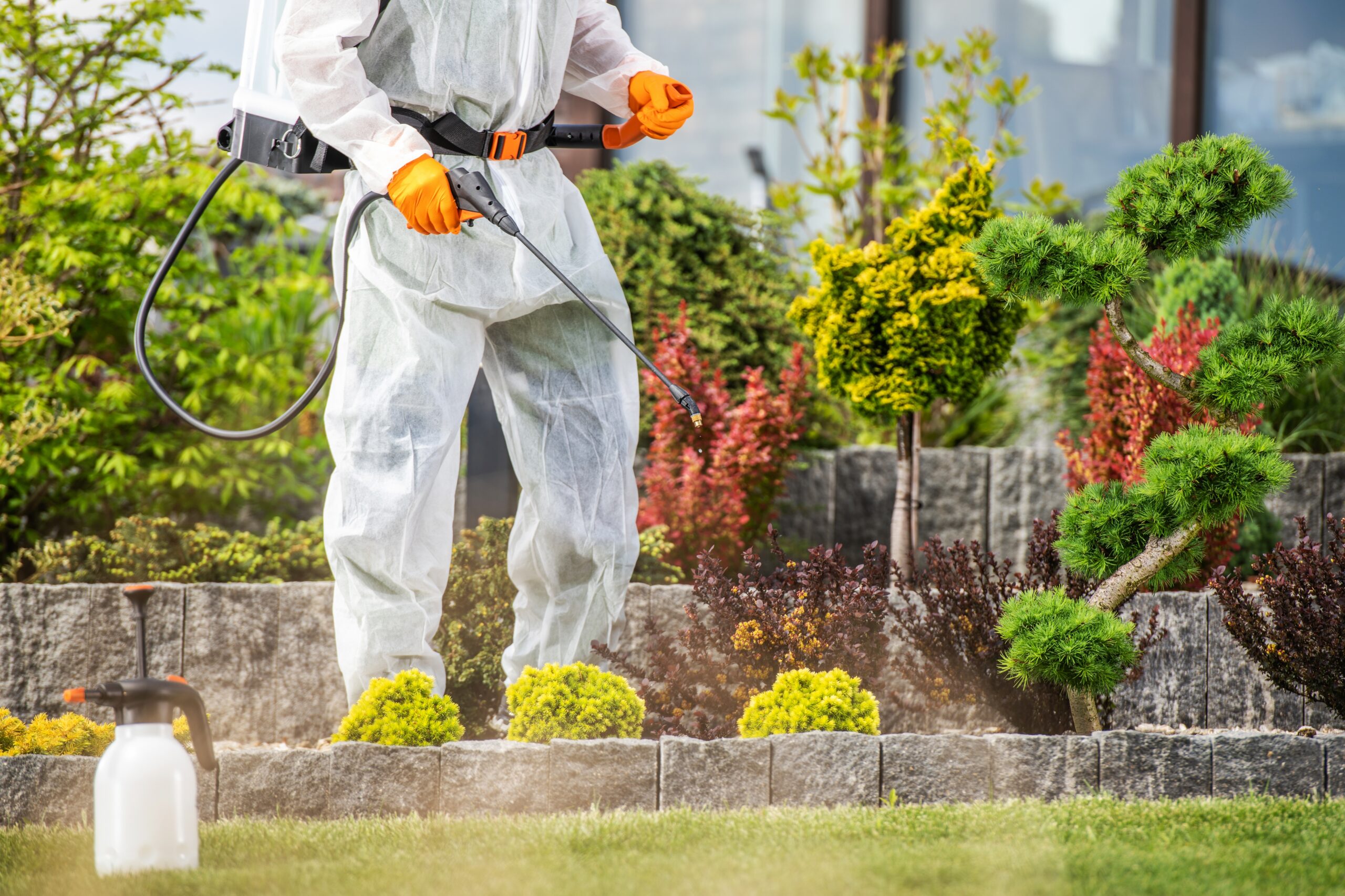 outside pest control treatment