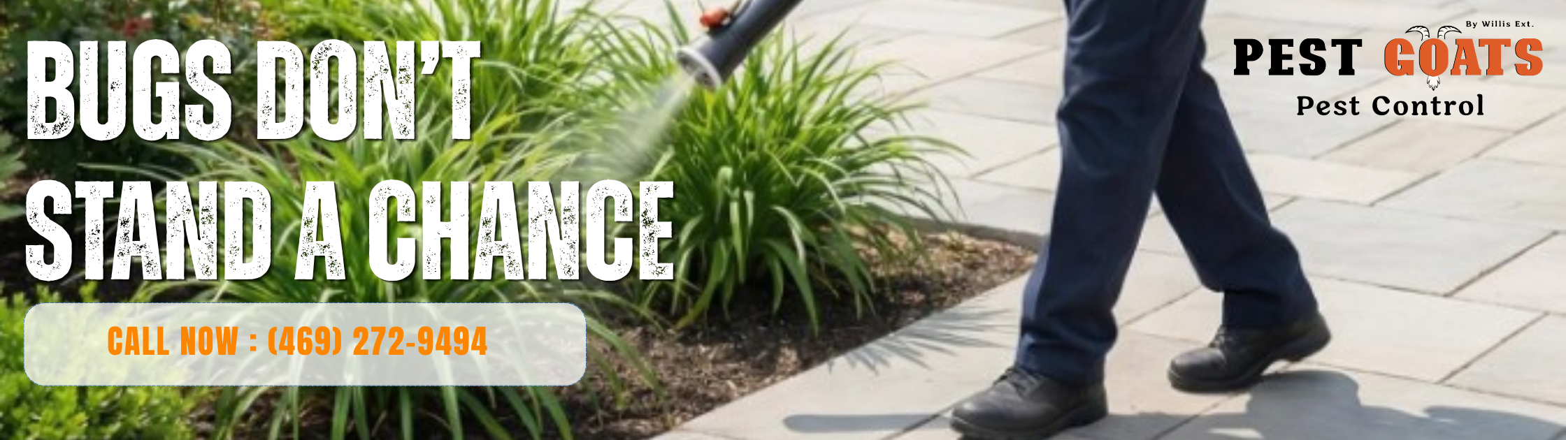 beg dont stand a chance pest control services