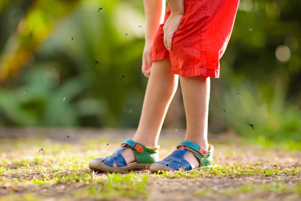 child is getting attacked by mosquitoes in backyard