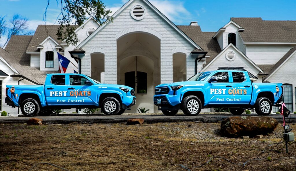 pest goats vehicles